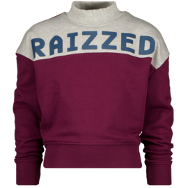 Bordeaux Sweater Raizzed 