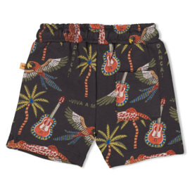 Bewerkte korte broek Feetje