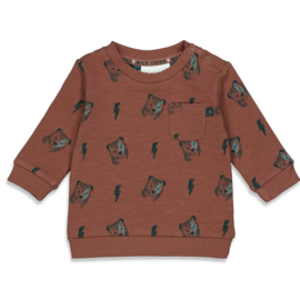 Sweater Wild Thing Feetje 