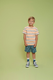 Petrol groene korte broek