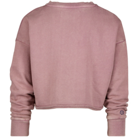 Roze sweater Raizzed 