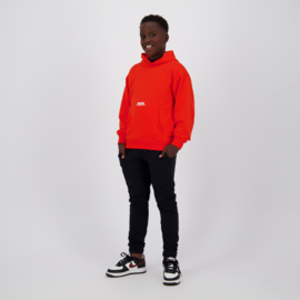 Nashed Hoody Raizzed