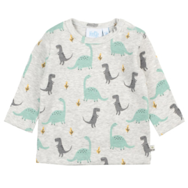 Dino longsleeve Feetje 