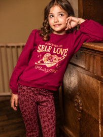 Bordeuax  sweater Looxs Little