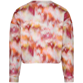 Hanna bewerkte sweater Raizzed