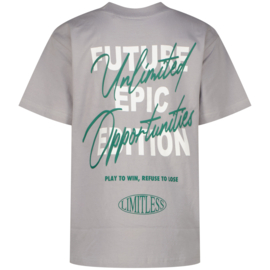 Hepic lichtgrijs shirt Raizzed