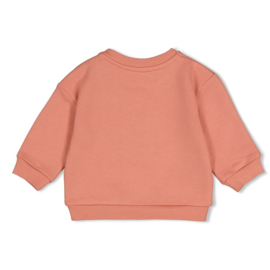 Oudroze sweater Feetje