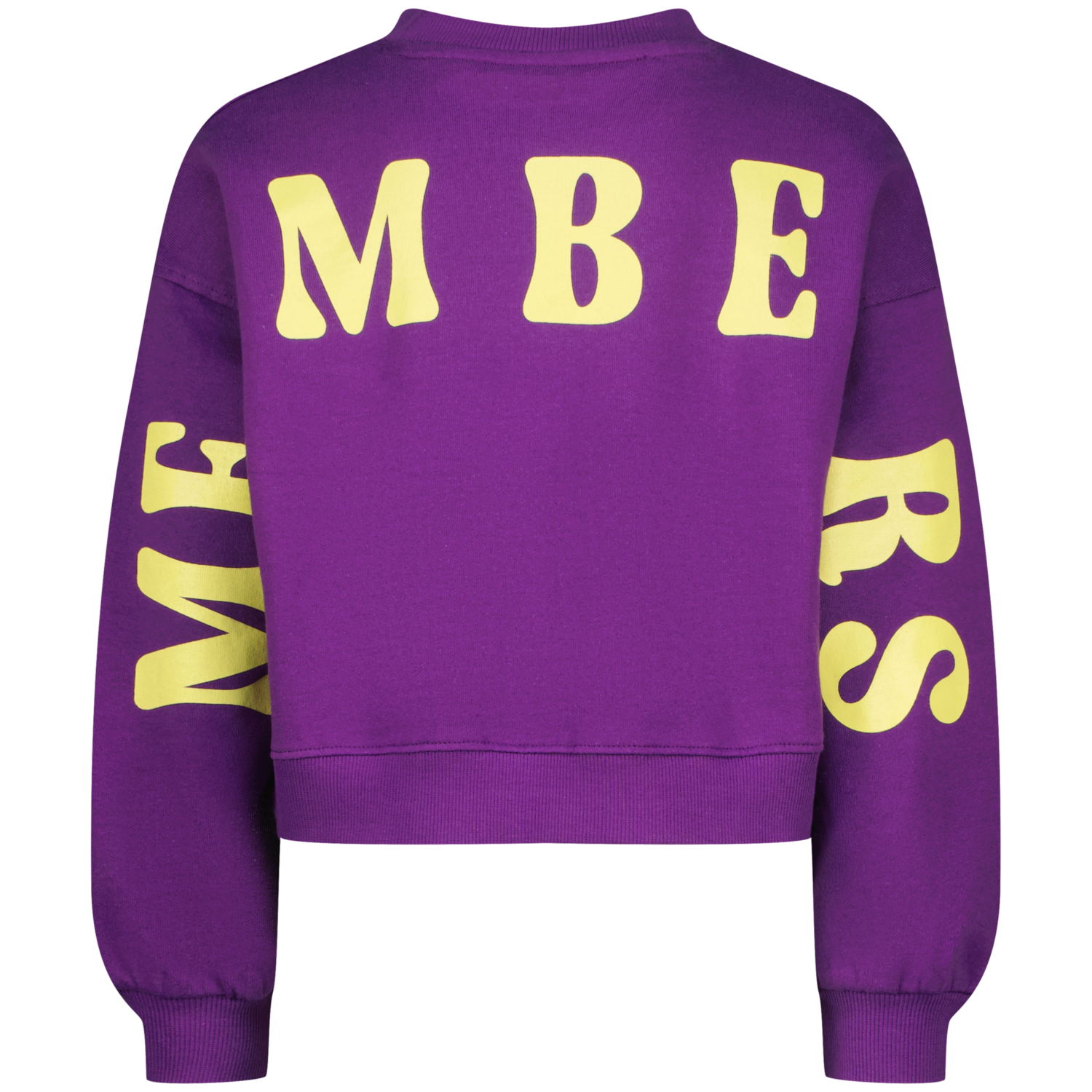 Paarse sweater Sabina Raizzed