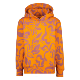 Arizona hoodie Raizzed