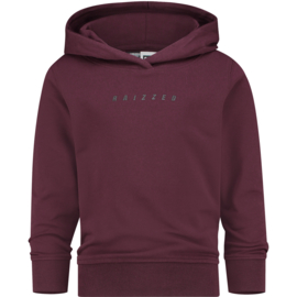 Olijfgroene sweatbroek 'Seattle" Raizzed 