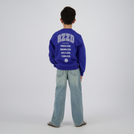 Nambrock sweater Raizzed
