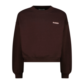 Sifra donkerbruine sweater Raizzed