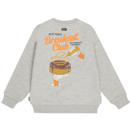 Grijze sweater Durham Tumble 'N Dry