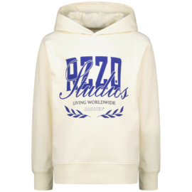 Neale sweater Raizzed