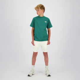 Hepic groen shirt Raizzed