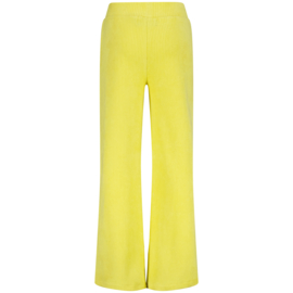 Cara gele broek Raizzed