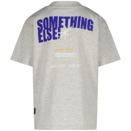 Holden grijs shirt Razzied