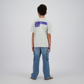 Holden grijs shirt Razzied