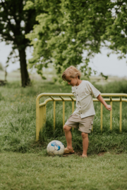 Taupe korte broek Koko Noko