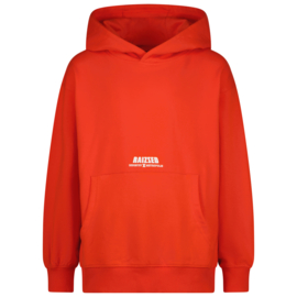 Nashed Hoody Raizzed
