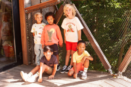 Bruine korte broek Sturdy