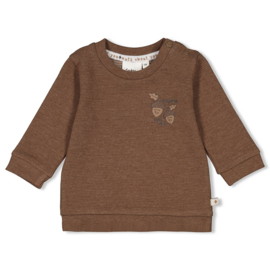 Bruine sweater Feetje