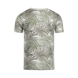 Groen shirt P54832 Koko Noko