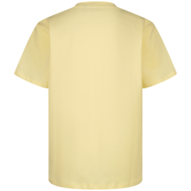 Tarla geel shirt Raizzed