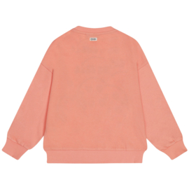 Sweater Elianne Tumble 'N Dry
