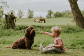 Oudroze shirt Koko Noko