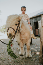 Offwhite shirt Koko Noko
