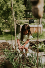 Lime shirt Koko Noko