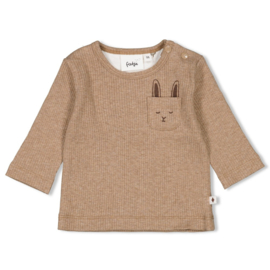 Taupe longsleeve Feetje