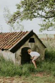 Taupe korte broek Koko Noko