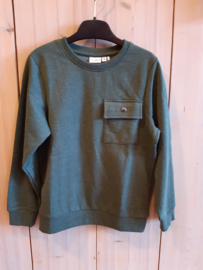 Van groene sweater Name it