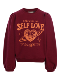 Bordeuax  sweater Looxs Little