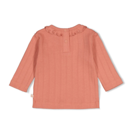 Oudroze longsleeve Feetje