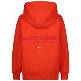 Nashed Hoody Raizzed