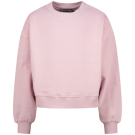 Lichtroze sweater Raizzed
