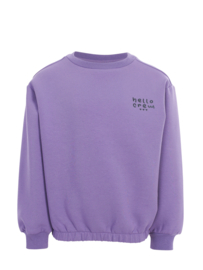 Paarse sweater Looxs Little