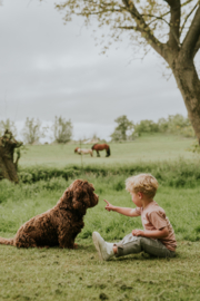 Geblokte broek Koko Noko