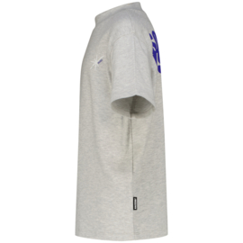 Holden grijs shirt Razzied