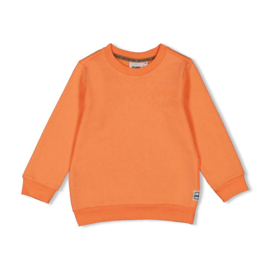 Oranje sweater Sturdy