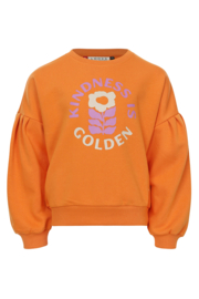 Oranje sweater Looxs Little