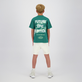 Hepic groen shirt Raizzed