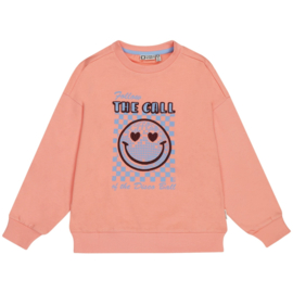 Sweater Elianne Tumble 'N Dry
