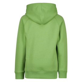 Retro groene hoodie Williston Raizzed