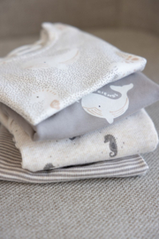 Lichtgrijs bewerkt shirt Feetje