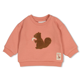 Oudroze sweater Feetje
