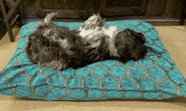 Esperanza Deseo ® vloer/lounge kussen - Honingraat turquoise met brons ± 70x100cm